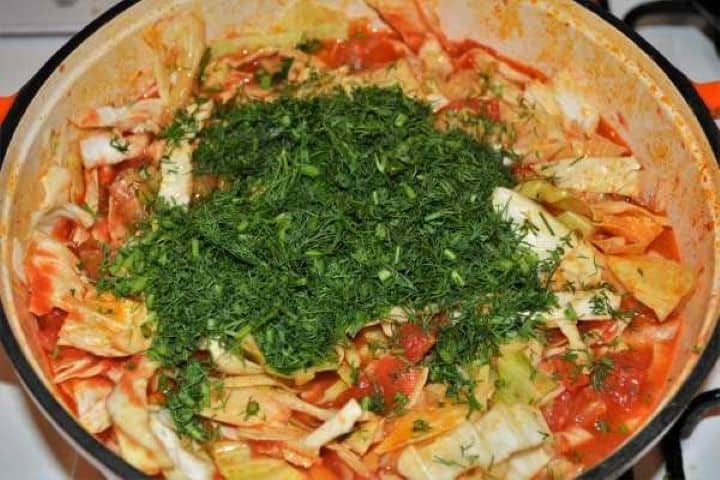 Cabbage Soup With Pork Meat-Chopped Dill Over the Sliced Cabbage in the Pot Stirring freshly chopped green dill into the boiling cabbage and pork soup broth.