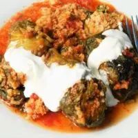 best stuffed cabbage rolls with sour cream