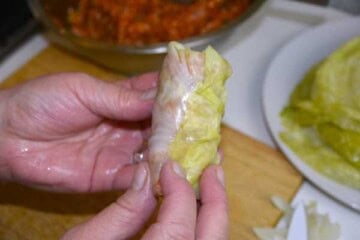Best Stuffed Cabbage Rolls-Cabbage Roll