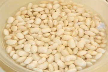White Bean Soaked in Water