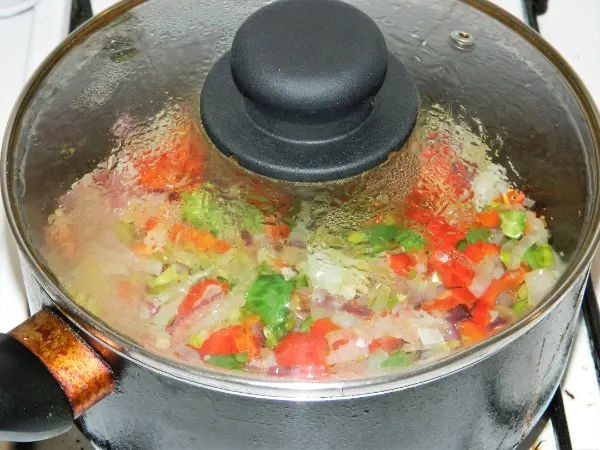 Best Vegetable Stew Recipe-Lid on the frying stew