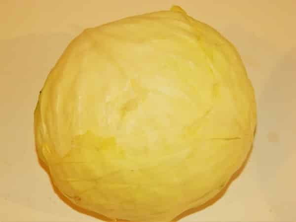 Best Cabbage Soup Recipe-Medium Size Cabbage