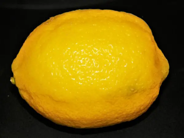 Best Sweet Cornbread Recipe in a World-Lemon