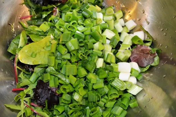 Easy Cold Pasta Salad Recipe-Green Vegetables and Chopped Spring Onions in the Bowl