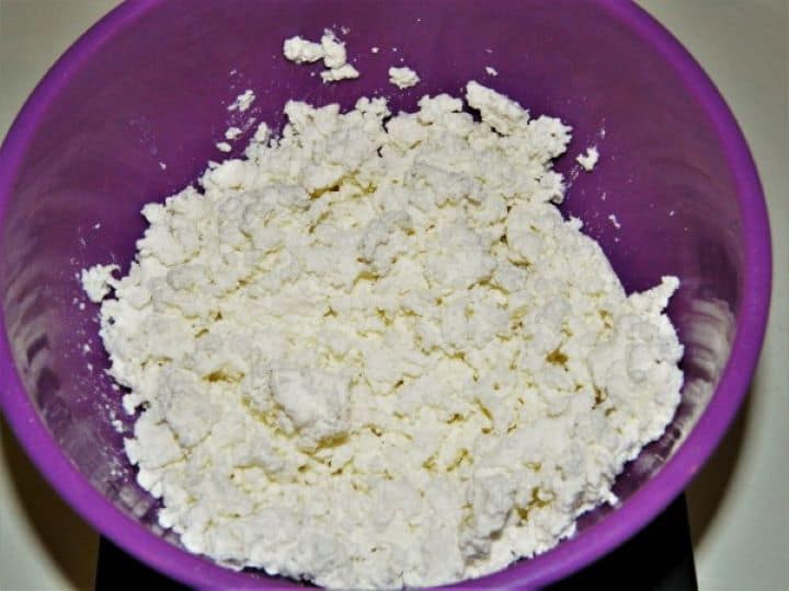 Fresh cottage cheese in a purple bowl.
