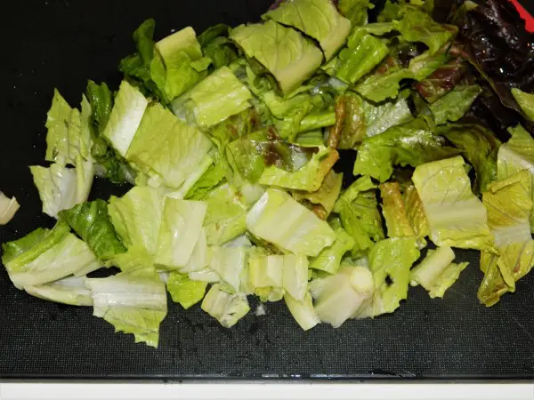 Tomato Avocado Egg Salad Recipe-Cut Romaine Lettuce
