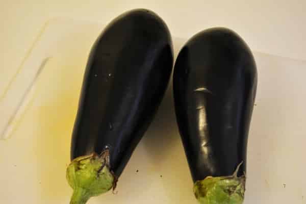 Best-Breaded Eggplant Recipe-Two Eggplants
