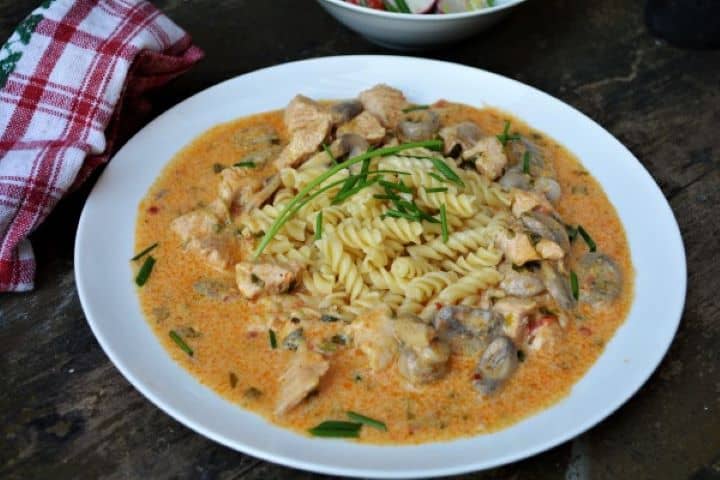 Best Turkey Stew Recipe-Served on Plate With Paste and Summer Salad Creamy Transylvanian Turkey Stew Served on Plate With Fusilli Pasta