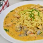 Plated Hungarian creamy turkey stew with mushrooms served hot over a bed of yellow fusilli pasta and garnished with fresh green parsley.