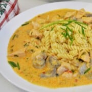 Plated Hungarian creamy turkey stew with mushrooms served hot over a bed of yellow fusilli pasta and garnished with fresh green parsley.
