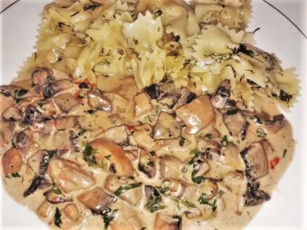 Chicken Stew With Mushrooms and Sour Cream-Served With Paste