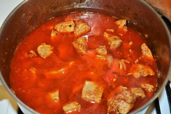 Simple Pork Tenderloin Stew Recipe-Pour Water on the Stew
