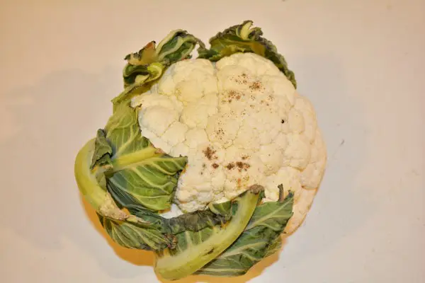 Best Creamed Cauliflower Recipe-Cauliflower