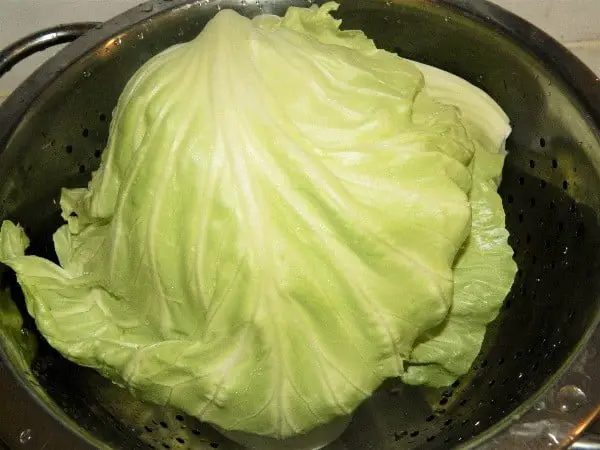 Best Stuffed Cabbage Rolls Recipe-Cabbage Leaves