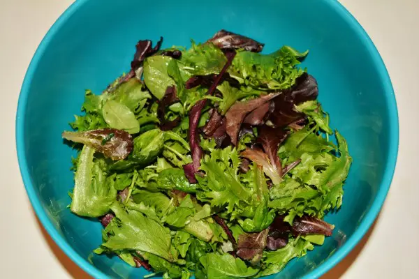 Best Homemade Chicken Salad Recipe - Baby Leaf Salad in the Bowl