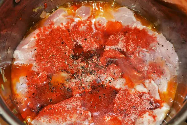 Creamy Homemade Chicken Stew Recipe -Seasoning With Paprika Powder, Salt and Pepper the Stew