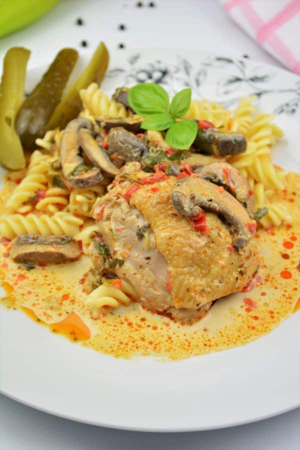 Creamy Homemade Chicken Stew Recipe -Served on Plate With Fusilli Pasta
