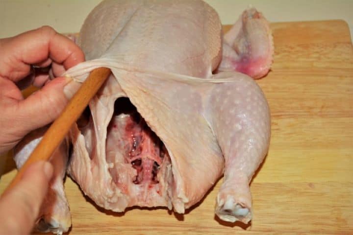 Baked Stuffed Whole Chicken Recipe-Peeling of the Skin From the Chicken Breast With Wooden Spoon Loosening the skin of a raw whole chicken breast using the smooth handle of a wooden spoon to create a pocket for the filling.