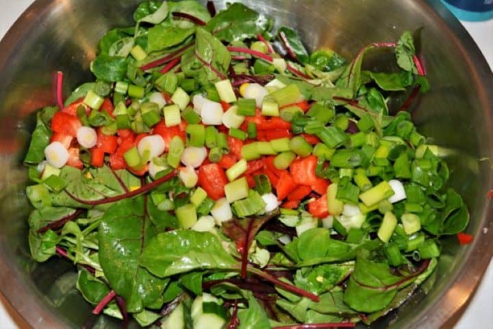 Simple Tuna And Pasta Salad Recipe - All Vegetables in the Bowl Letucce Mix and Chopped Vegetables in the Bowl