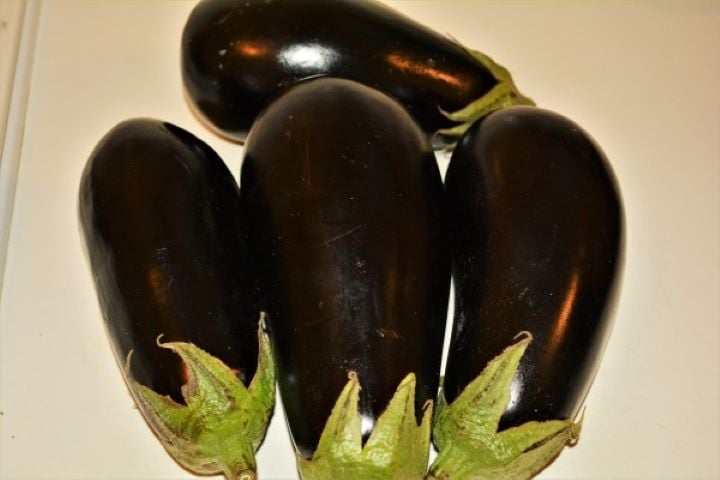Grilled Eggplant Dip Recipe-Four Eggplants Four Eggplants on the Table