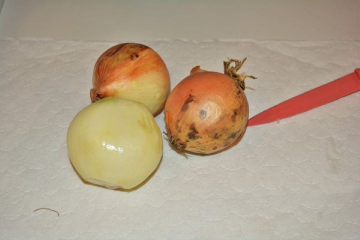 Easy Homemade Refried Beans Recipe-Three Onions Three Large Yellow Onions on the Table