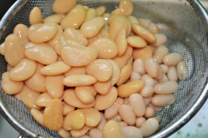 Easy Homemade Refried Beans Recipe-White Beans in the Seave Draining and rinsing canned white beans in a large stainless steel sieve over a kitchen sink.