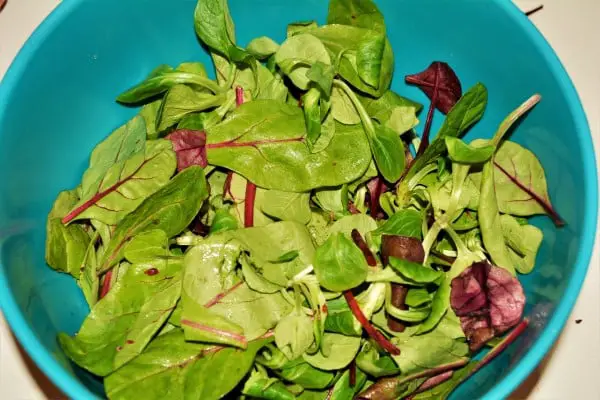 Best Leftover Turkey Salad Recipe-Bistro Salad in the Bowl