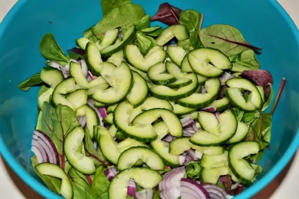 Best Leftover Turkey Salad Recipe-Sliced Onion and Cucumber on Bistro Salad in the Bowl
