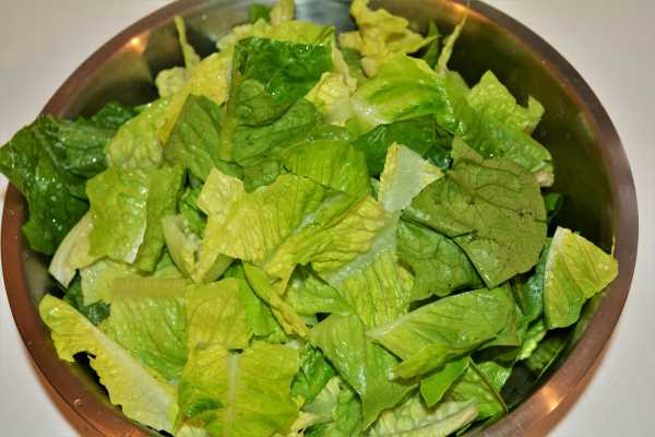 Romaine Lettuce Soup Recipe-Cut Lettuce Leaves in Bowl