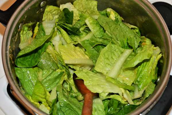 Romaine Lettuce Soup Recipe-Put the Cut Lettuce Leaves in the Thickener