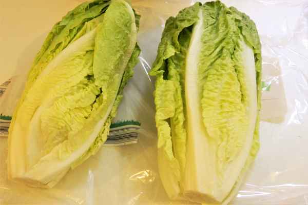 Romaine Lettuce Soup Recipe-Two Pieces of Romaine Lettuce