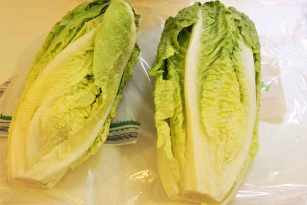 romaine lettuce soup