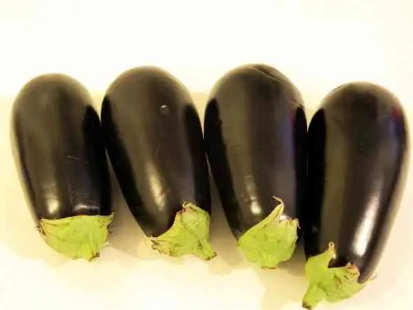Best Eggplant Casserole Recipe-Four Eggplants
