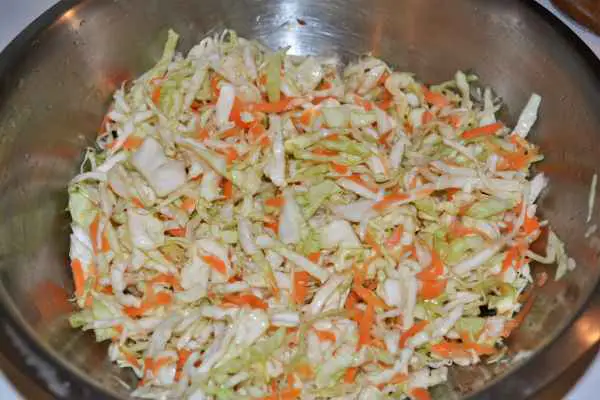 Quick and Easy Homemade Coleslaw Recipe-Salted Mixed Grated Carrot and Sliced Cabbage in the Bowl