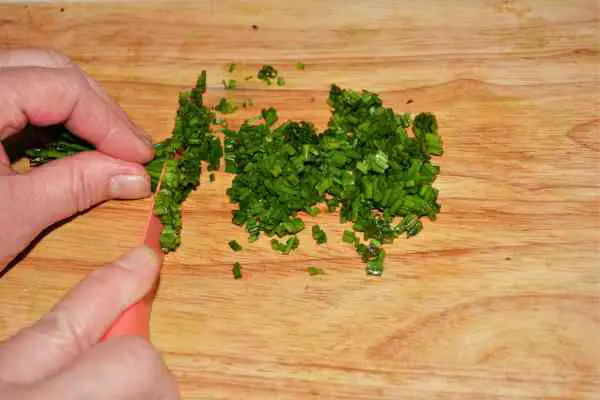 Best Homemade Guacamole Recipe-Chopped Chives