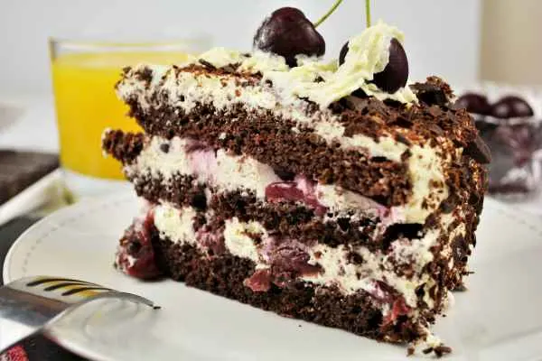 Easy Black Forest Cake Recipe-Cake Slice on the Plate