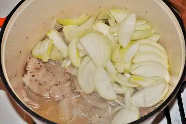 Dutch Oven Turkey Tenderloin Recipe-Sliced Onions Over Braised Turkey Loins