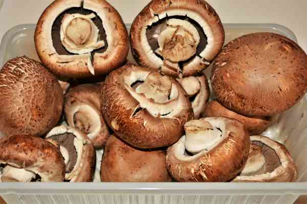 Stuffed Mushrooms With Cheese and Bacon-Portobello Mushrooms