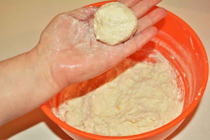 Hand-rolled cottage cheese dumplings with moist hands into balls.