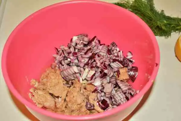 Tuna Corn Salad Recipe-Chopped Red Onion and Tuna Chunks in the Bowl