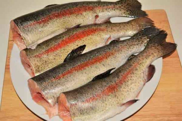 Pan-Fried Rainbow Trout Recipe-Four Cleaned Trout on the Plate Four Cleaned Rainbow Trout on the Plate