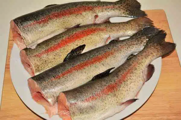 Pan-Fried Rainbow Trout Recipe-Four Cleaned Trout on the Plate