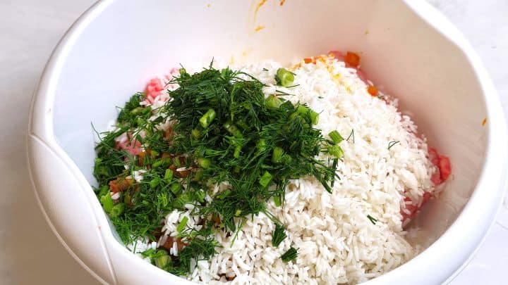 Hungarian Stuffed Peppers-Pork Mince, Washed Rice, Chopped Dill and Fried Onion in the Bowl Pork Mince, Sauteed Onions, Rice, and Chopped Dill in the Bowl