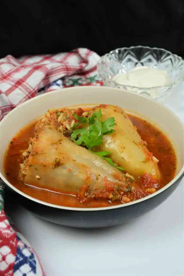 Hungarian Stuffed Peppers-Served in Bowl With Sour Cream