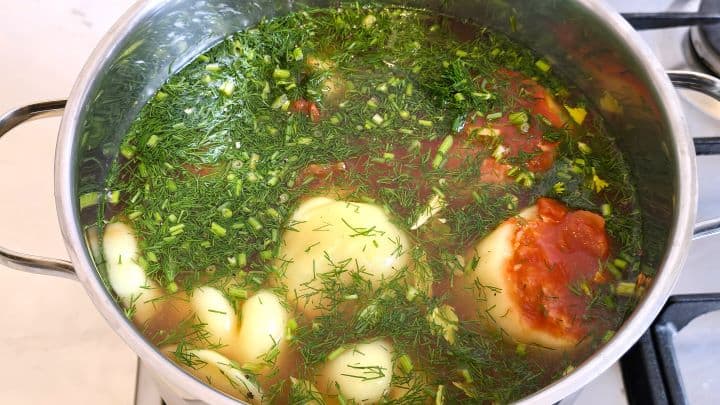 Hungarian Stuffed Peppers-Seasoned Simmering Stuffed Peppers in the Pot Stuffed Peppers and Dill in the Pot Ready to Boil