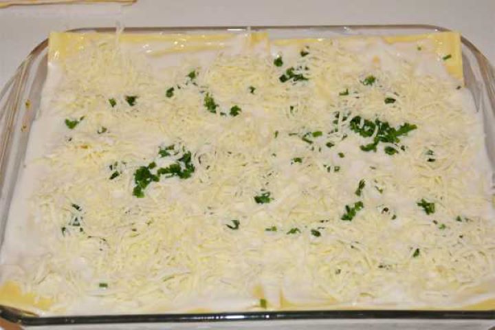 Turkey Lasagna With White Sauce-Grated Mozzarella on the Top of the Dish Generous layer of grated mozzarella cheese sprinkled over white sauce before baking.