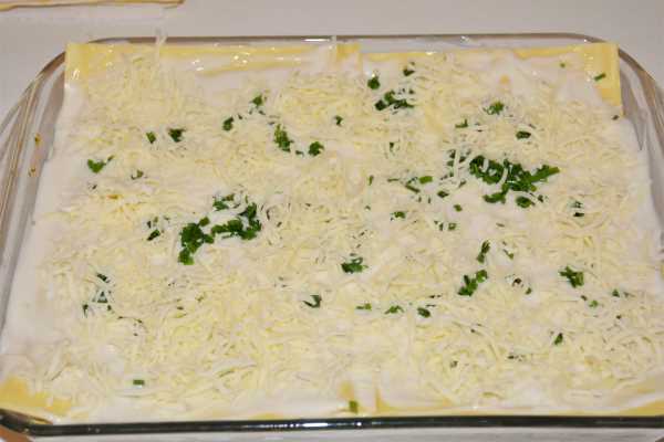 Turkey Lasagna With White Sauce-Grated Mozzarella on the Top of the Dish
