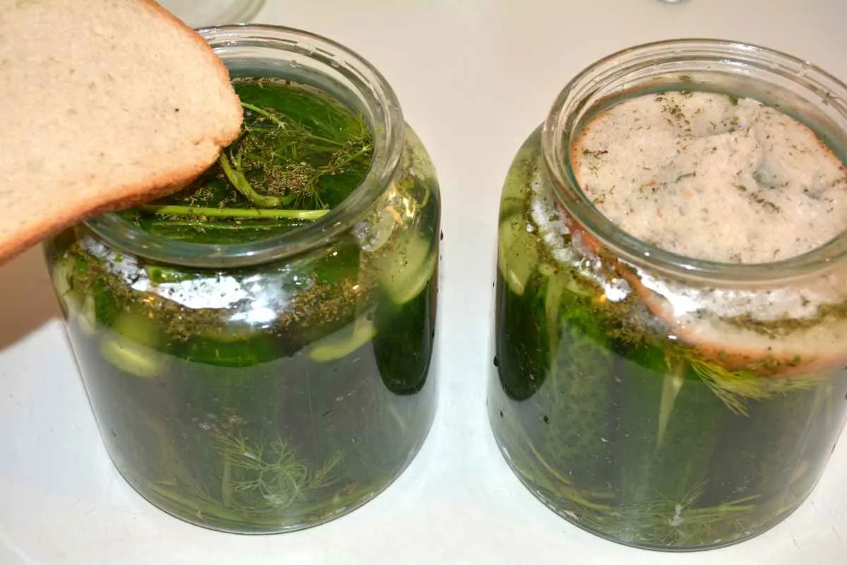 Sun Pickles Recipe-Bread Slices on the Top of Jars