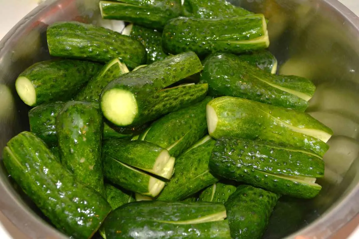 Sun Pickles Recipe-Cleaned Cucumbers Notched Along in the Bowl