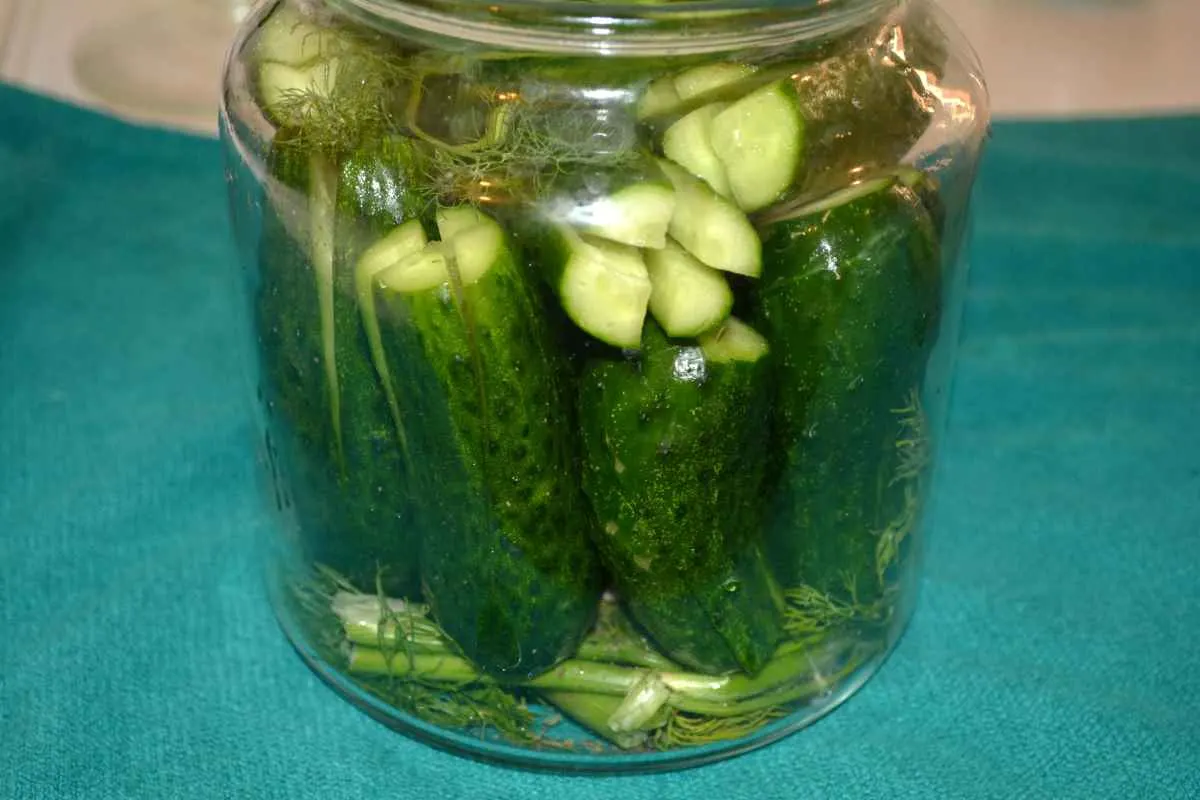 Sun Pickles Recipe-Dill and Cucumbers in the Jars